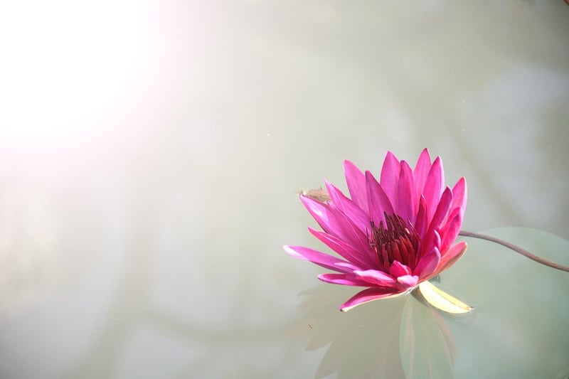 Mindful stretching